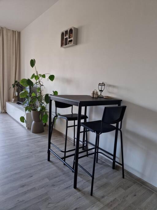 Apartman V Meste براتسيلافا المظهر الخارجي الصورة