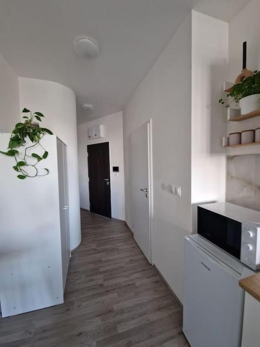 Apartman V Meste براتسيلافا المظهر الخارجي الصورة